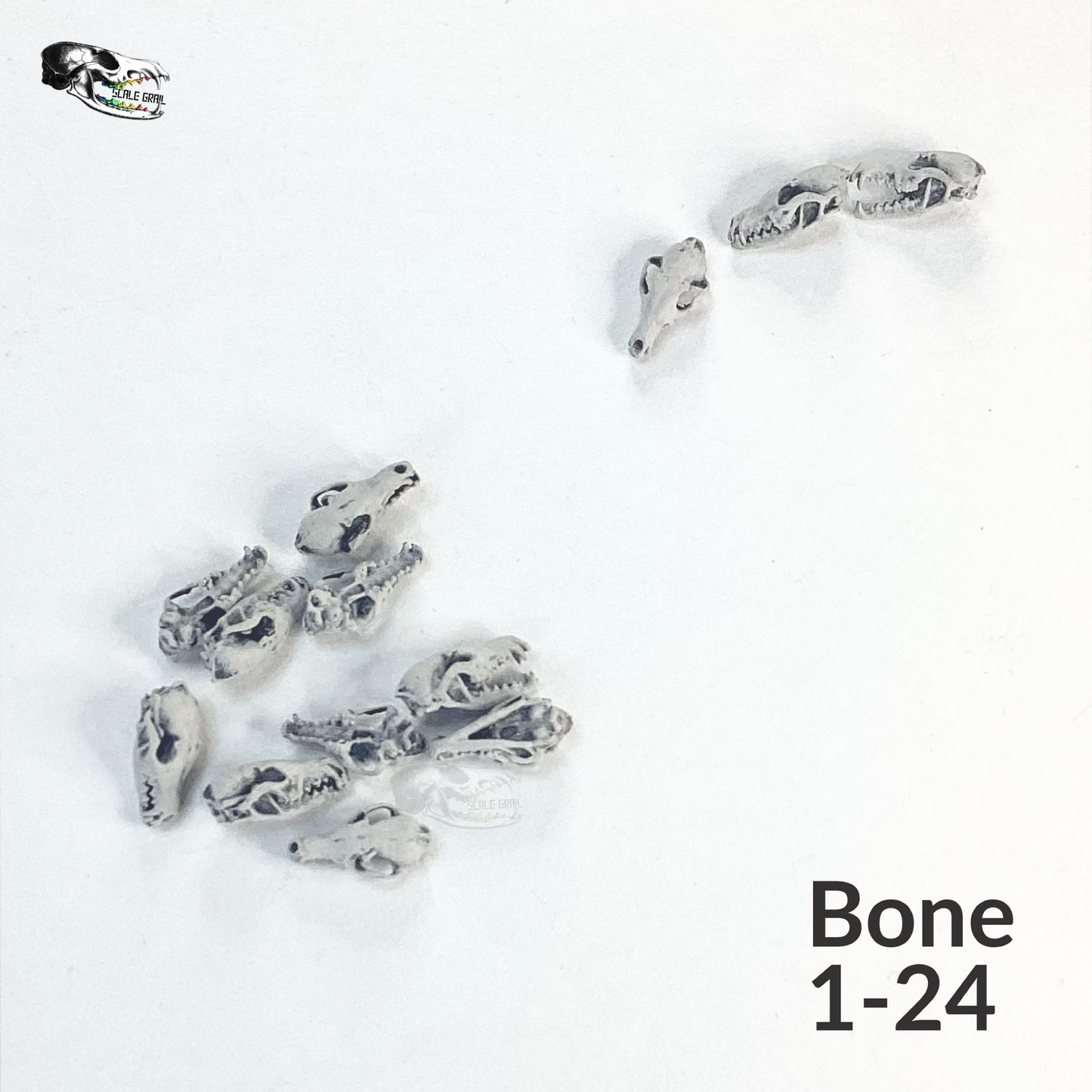 Fox Skulls (red fox) - 1:24 Scale