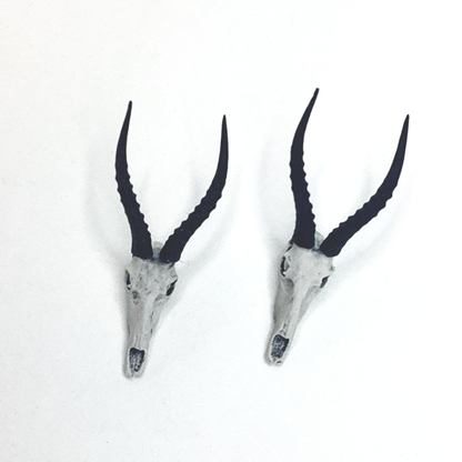 Blesbuck Skull Replica - 1:12 scale (2 skulls)