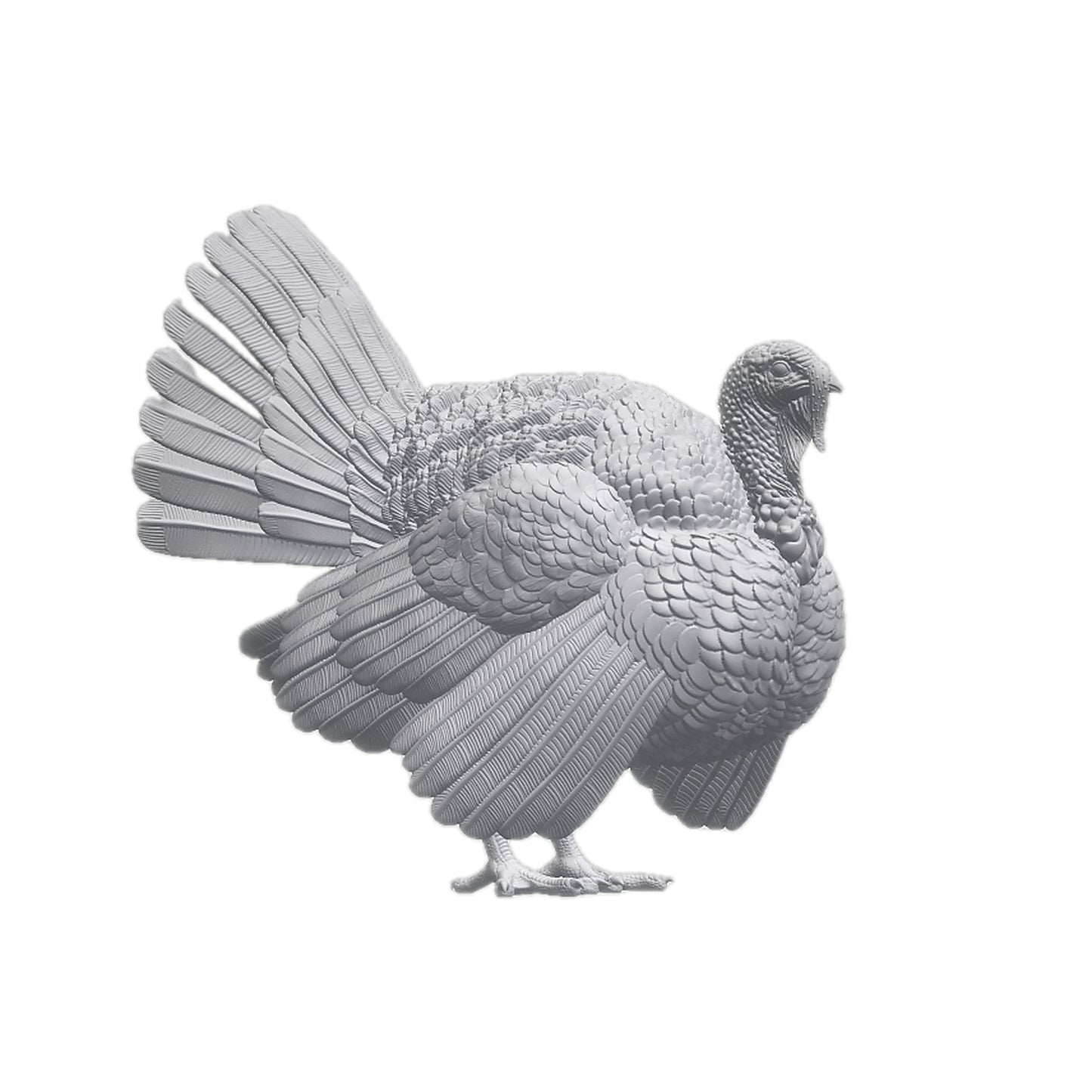 Turkey | Alexander3DArt