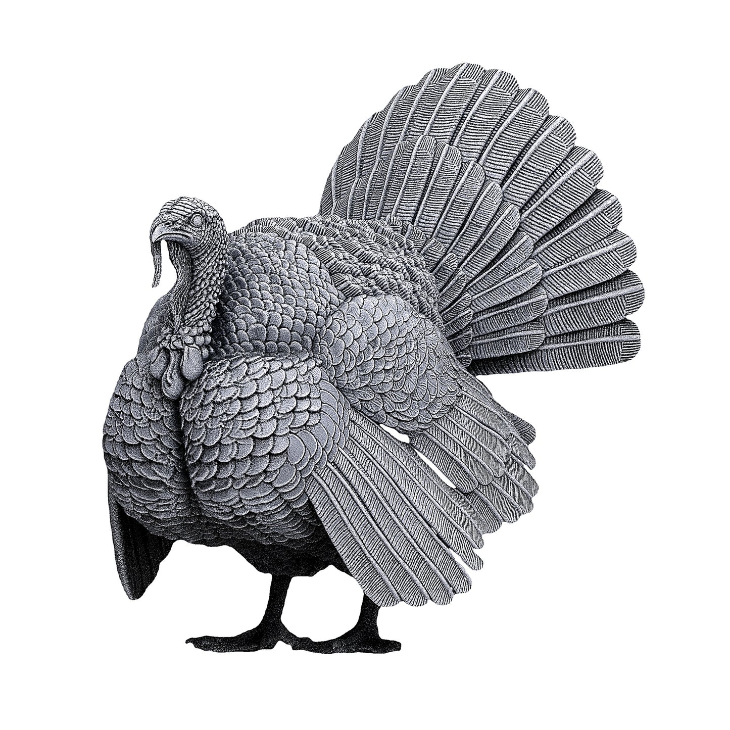 Turkey | Alexander3DArt