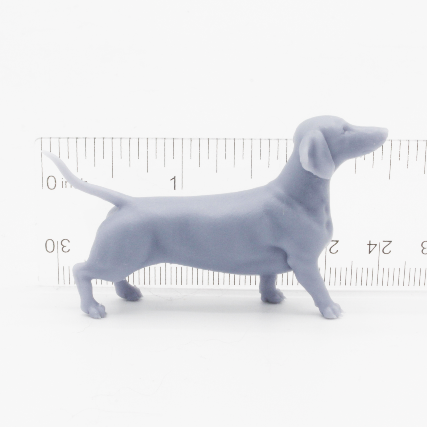 Dachshund - 1:12 Scale miniature dog for dollhouse, diorama by Stereocat (1 dog)