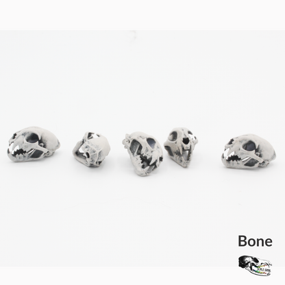 Bobcat Skull - 1:12 Scale Miniature Replica Feline dollhouse diorama art and craft supplies oddity and curiosity (5 skulls)