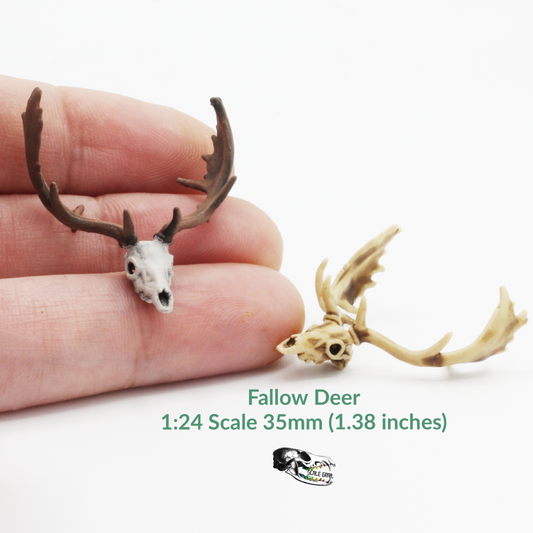 Fallow Deer - 1:24 Scale replica for dollhouse, diorama, art craft supplies (1 skull)