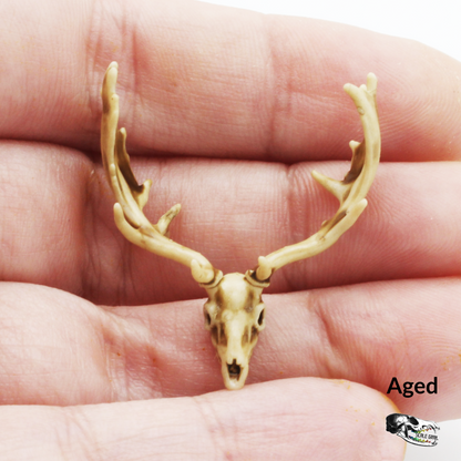 Fallow Deer - 1:24 Scale replica for dollhouse, diorama, art craft supplies (1 skull)