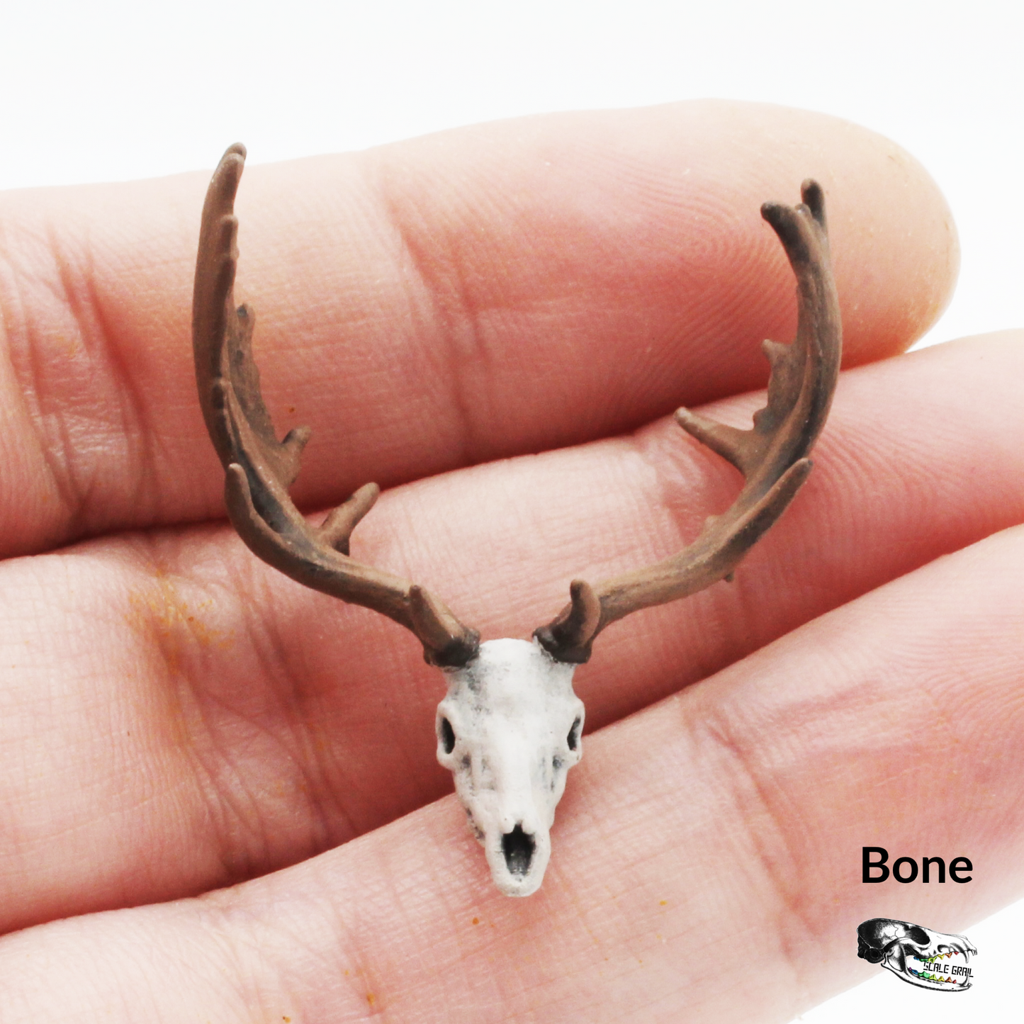 Fallow Deer - 1:24 Scale replica for dollhouse, diorama, art craft supplies (1 skull)