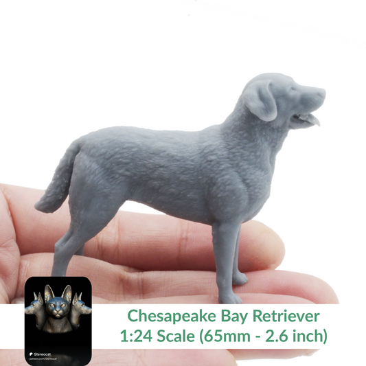 Chesapeake Bay Retriever - 1:24 Scale miniature dog for dollhouse, diorama by Stereocat (1 dog)