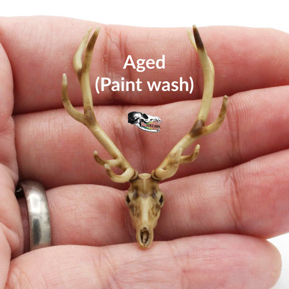 Red Deer Skull - 1:24 Scale Replica Miniature for Dollhouse, Diorama, Curiosities and Oddities (1 skull)