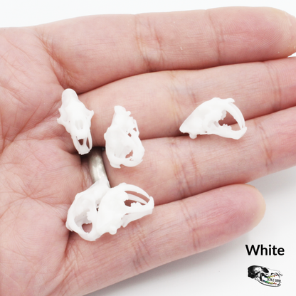 Saber Tooth Tiger Skull - 1:24 scale replica miniatures for dollhouse, diorama (5 skulls)