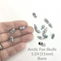 Fox Skulls (arctic fox) - 1:24 Scale