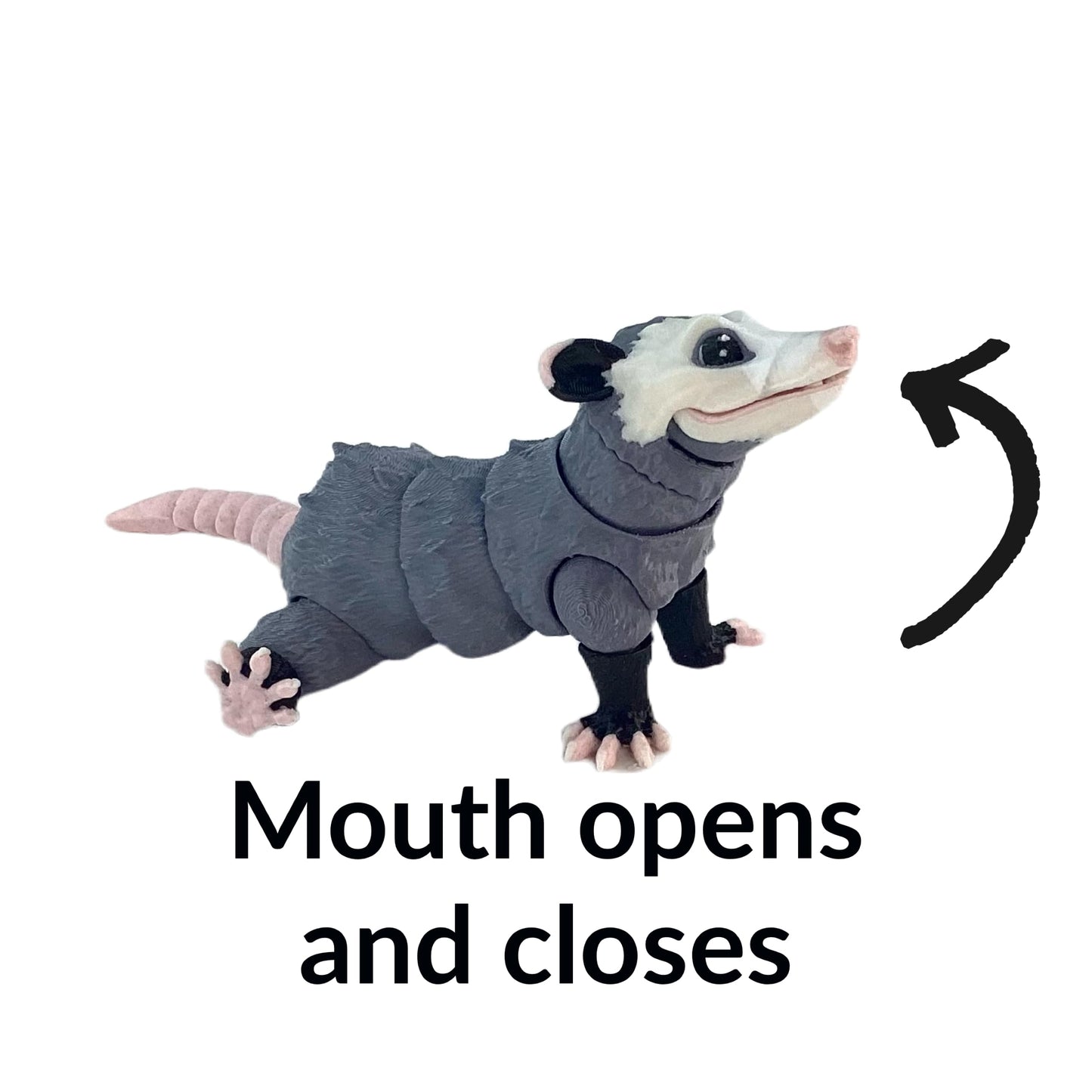 Fidget Opossum 3D Printed Articulated Toy Stress Relief Desk Toy for Kids Adults