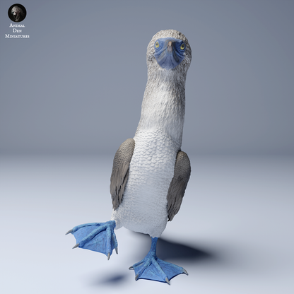 Blue Footed Booby - 1:12 Scale miniature bird for tropical diorama by Animal Den Miniatures (2 birds)