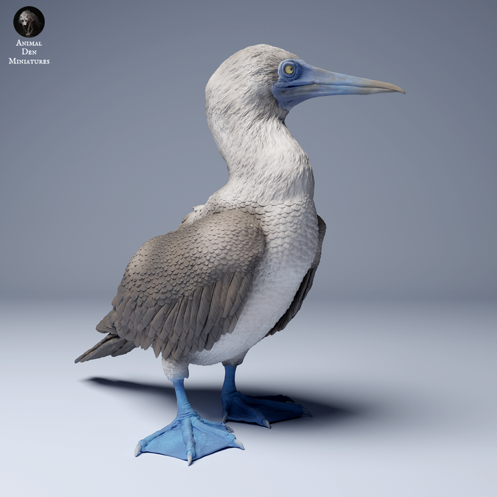 Blue Footed Booby - 1:12 Scale miniature bird for tropical diorama by Animal Den Miniatures (2 birds)