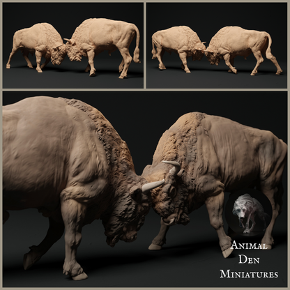 European Bison Miniature 1:48 scale, Animal Den Miniatures