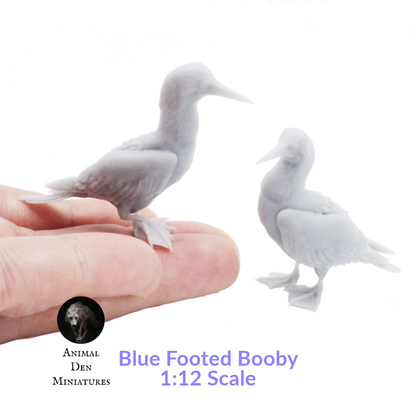 Blue Footed Booby - 1:12 Scale miniature bird for tropical diorama by Animal Den Miniatures (2 birds)