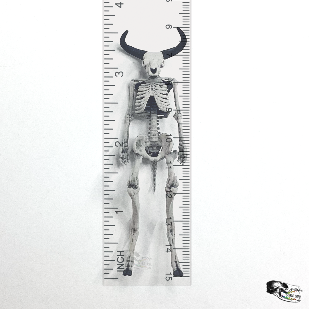 Minotaur Skeleton - 1:24 scale miniature for horror diorama, dollhouse, tabletop arts and crafts, replica curiosities oddities (1 skeleton)