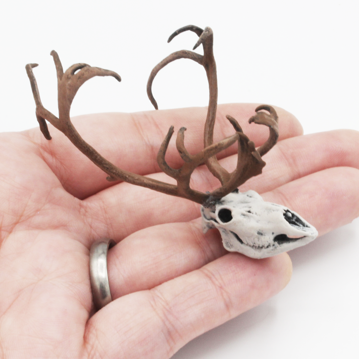 Reindeer / Caribou Miniature Skull - 1:12 Scale for Dollhouse Diorama Art Craft Supplies (1 Skull)