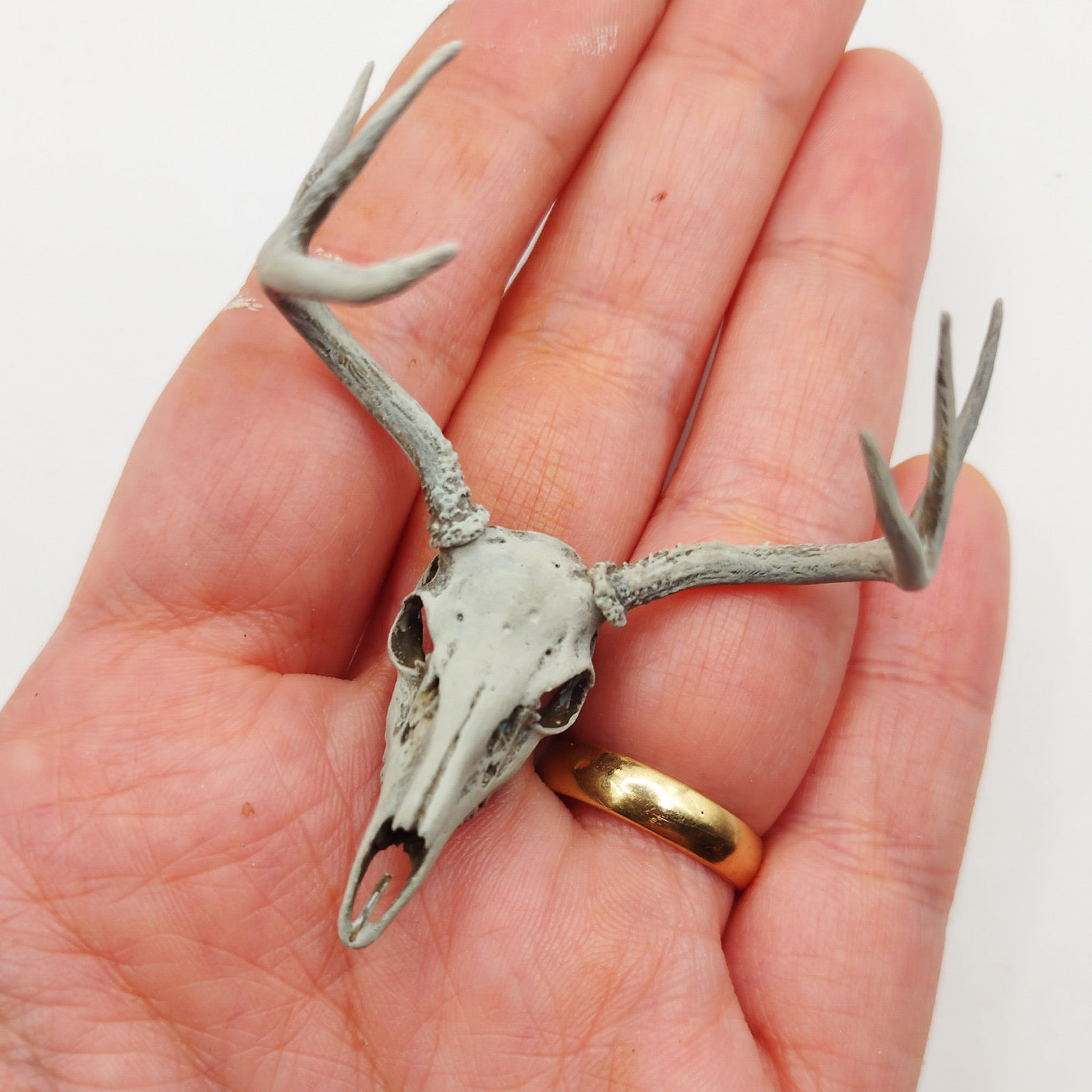 White Tailed Deer Miniature, 1:12 Scale Replica