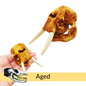 African Forest Elephant - Skull Replica miniature animal skulls by The Scale Grail