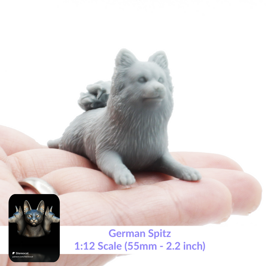 German Spitz - 1:12 Scale miniature dog for dollhouse, diorama by Stereocat (1 dog)