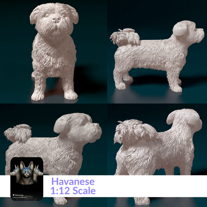 Havanese - 1:12 Scale miniature dog for dollhouse, diorama by Stereocat (1 dog)