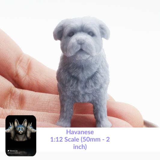 Havanese - 1:12 Scale miniature dog for dollhouse, diorama by Stereocat (1 dog)