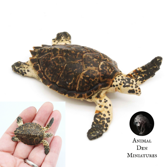 Hawksbill Sea Turtle - 1:24 scale miniature sea animal for tropical diorama, dollhouse, small hand painted mini AnimalDenMiniatures (1 figurine)