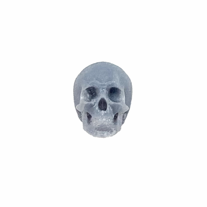 Human skulls with Flat Back, human skulls with jaw for horror dioramas, terrariums, dollhouse, arts and crafts accessories choose a size