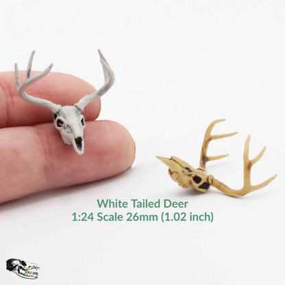 White Tailed Deer Skull - 1:24 Scale replica dollhouse diorama miniature collectible curiosities (1 skull)