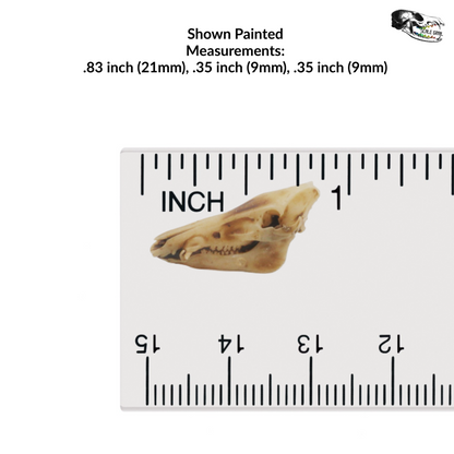 Pig Skull - 1:12 Scale Miniature Replica for Dollhouse, Diorama, Art and Craft Supplies (5 skulls)