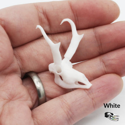 Pronghorn Skull Miniature - 1:12 Scale diorama dollhouse decor art craft supplies (1 skull)