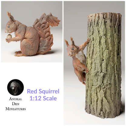 Red Squirrel - 1:12 Scale miniature for dollhouse, diorama, art craft supplies, realistic animal figurines by Animal Den Miniatures