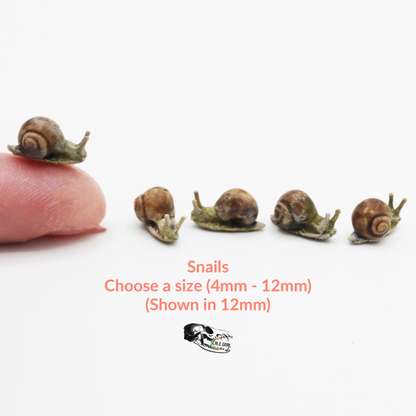 Garden Snail Miniature Choose a Size 4mm - 12mm tiny scale replica for dollhouse diorama resin projects (5 snails)