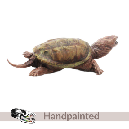 Snapping Turtle - 1:12 Scale animal for dollhouse and diorama 3d model by The Scale Grail (1 figure)