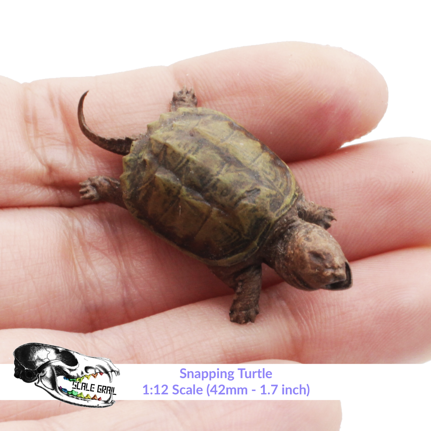 Snapping Turtle - 1:12 Scale animal for dollhouse and diorama 3d model by The Scale Grail (1 figure)