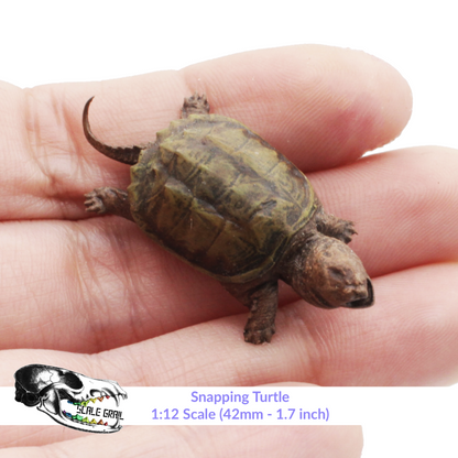 Snapping Turtle - 1:12 Scale animal for dollhouse and diorama 3d model by The Scale Grail (1 figure)