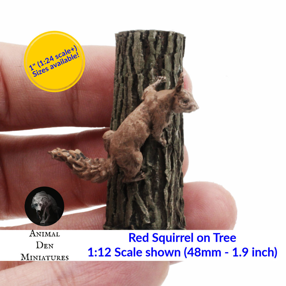 Squirrel Scale Red Squirrel in Tree - 1:12 Scale Choose a | The Scale Grail