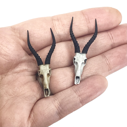 Blesbuck Skull Replica - 1:12 scale (2 skulls)