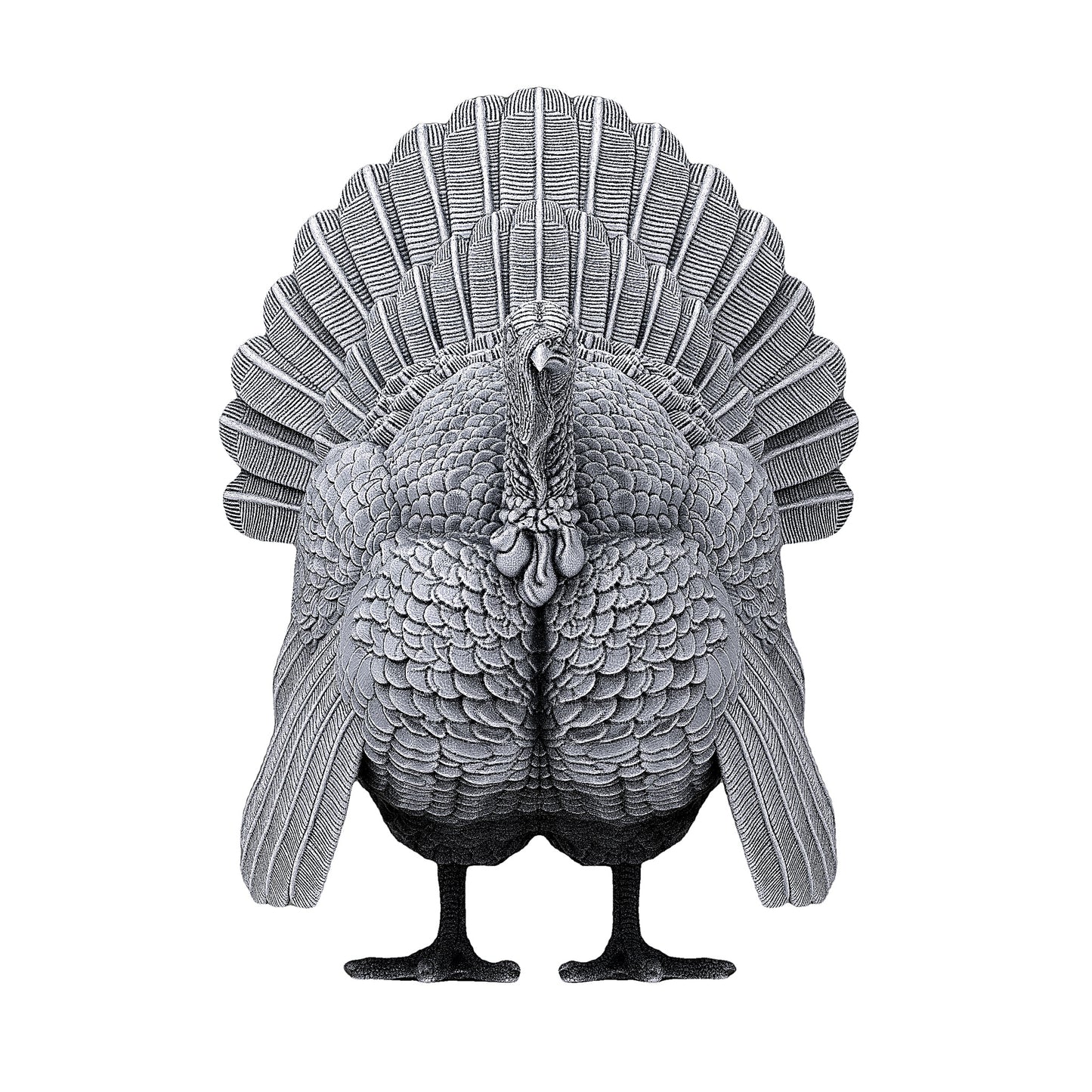 Turkey | Alexander3DArt