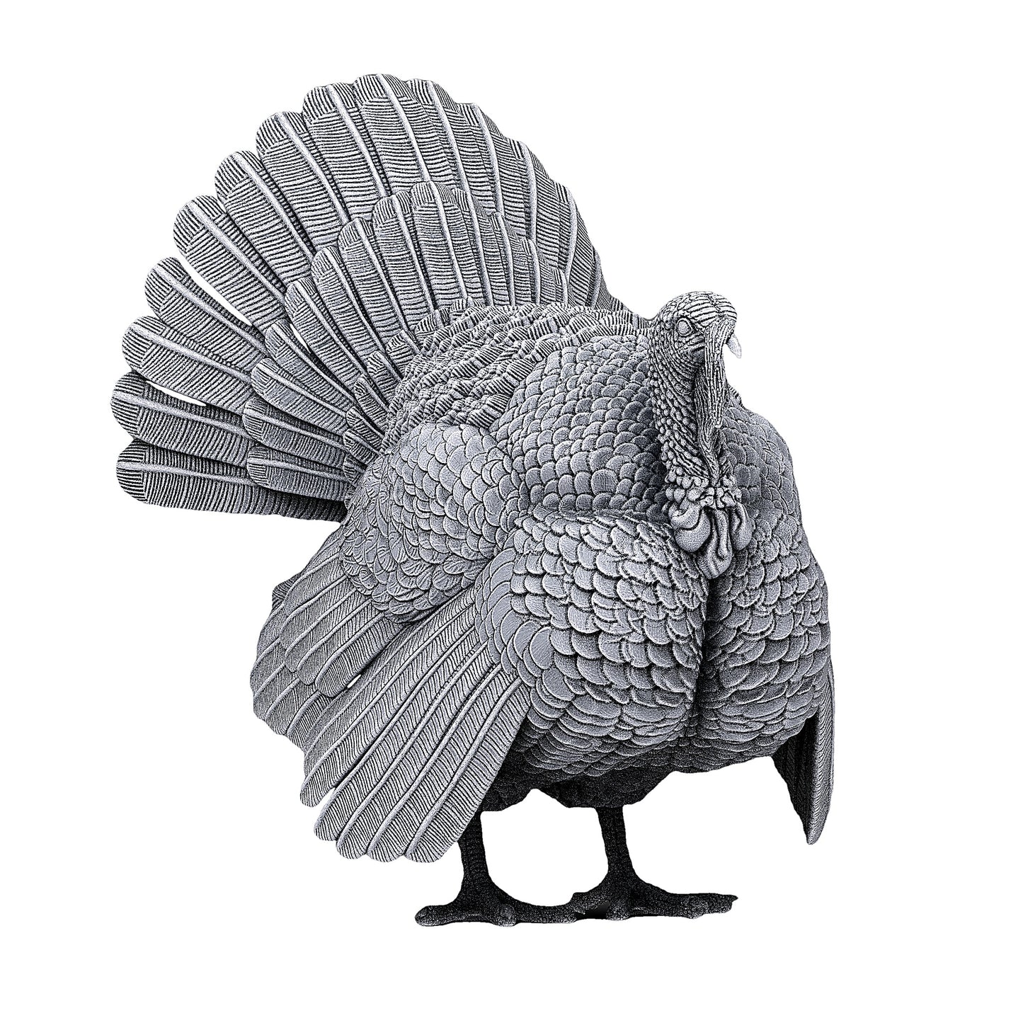 Turkey | Alexander3DArt