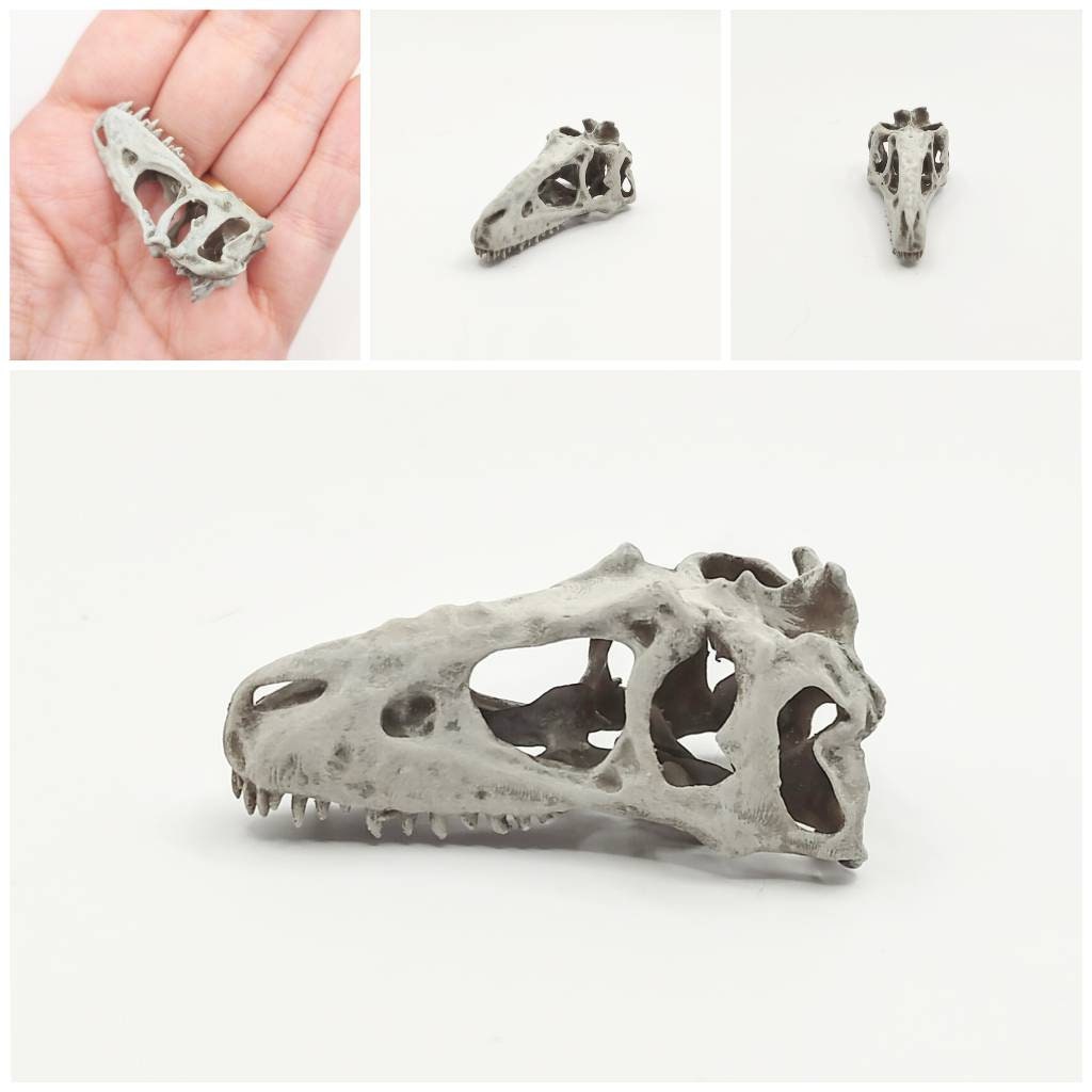 T-Rex (young) Cranium Dinosaur Skull Replica - 1:24 Scale for diorama, miniature horror scenes,  dollhouse, curio cabinet