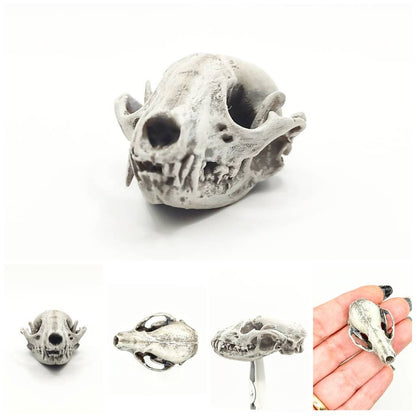 Raccoon Skull - 1:6 Scale skull replica for diorama, miniature horror scenes,  dollhouse, curio cabinet, interesting curiosity (1 skull)