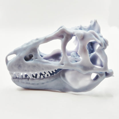 T-Rex (young) Cranium Dinosaur Skull Replica - 1:24 Scale for diorama, miniature horror scenes,  dollhouse, curio cabinet