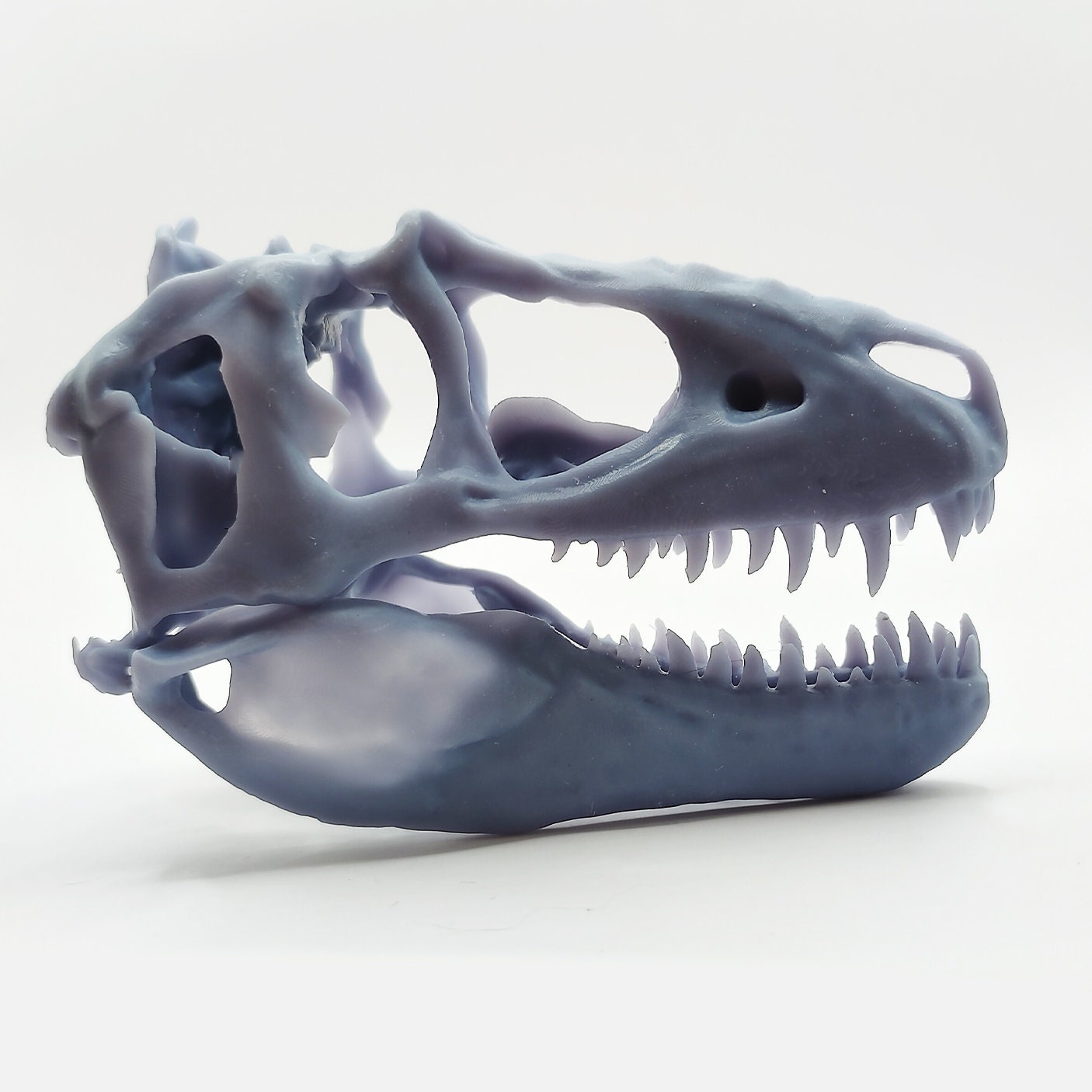 T-Rex (young) Cranium Dinosaur Skull Replica - 1:24 Scale for diorama, miniature horror scenes,  dollhouse, curio cabinet