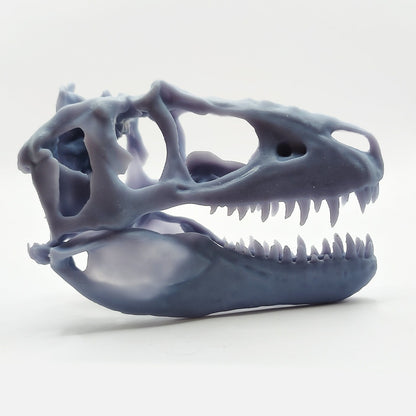 T-Rex (young) Full Dinosaur Skull Replica - 1:12 Scale for diorama, miniature horror scenes,  dollhouse, curio cabinet