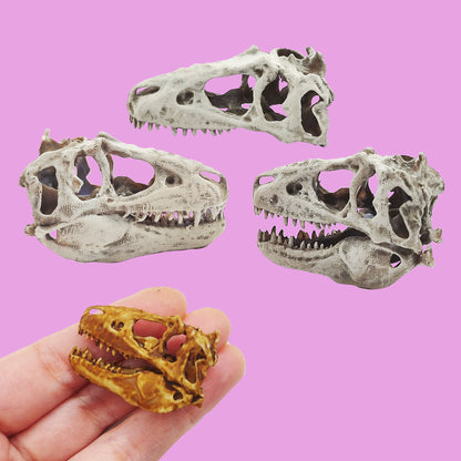 T-Rex (young) Cranium Dinosaur Skull Replica - 1:24 Scale for diorama, miniature horror scenes,  dollhouse, curio cabinet