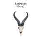 Springbok Skull Replica 1:6 Scale miniature animal skulls for use in dollhouse, diorama, models, tiny antelope cranium (1 skull)