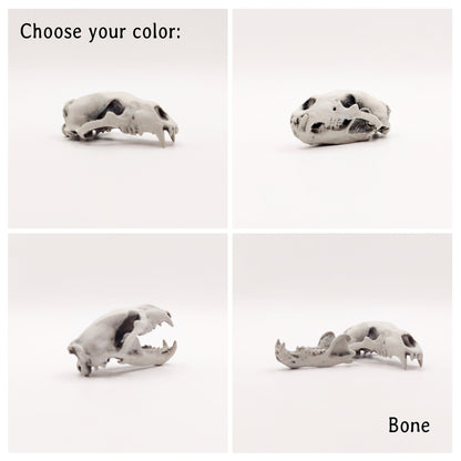 Polar Bear Skull Replica- 1:12 scale size for arctic snow diorama, dollhouse, jewelry making, arts and crafts, miniature oddities (1 skull)