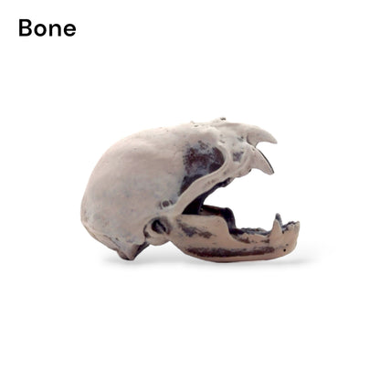 Vampire Bat Skull, Open Jaw - cruelty free replica skull 6mm - 25mm - 1:1 Scale and MM cranium , Art and Craft supplies miniature bat tiny