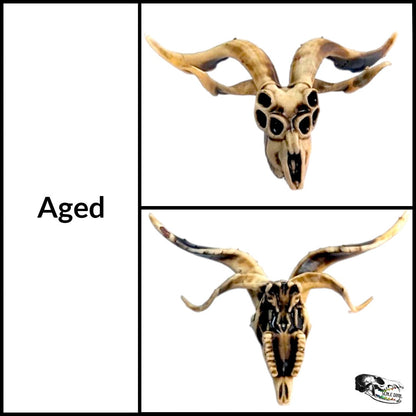 Demon Goat Skull - 1:24 scale miniature cranium size for occult diorama, dollhouse, arts and crafts, horror curiosities oddities (1 skull)