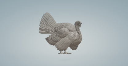 Turkey | Alexander3DArt